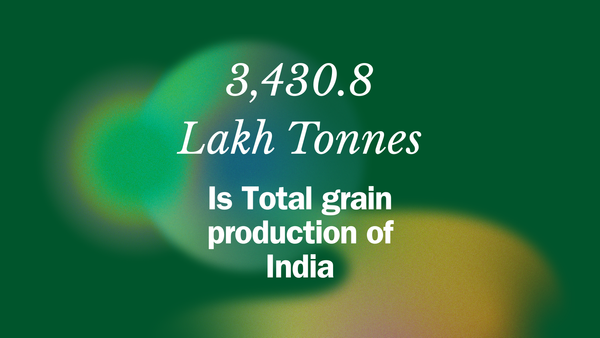 total grain production of grains in India